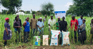 MGYS Group Welcomes GEPF As A Strategic Partner 