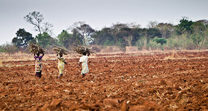 Sustain Africa